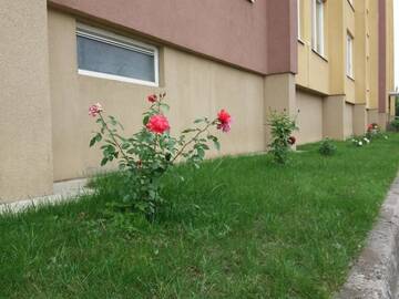 Фото номера Апартаменты с 1 спальней Апартаменты Butų nuoma Šilutėje г. Шилуте 37