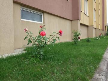 Фото номера Апартаменты с 1 спальней Апартаменты Butų nuoma Šilutėje г. Шилуте 5