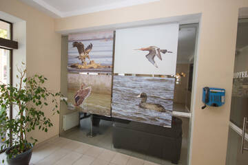 Фотографии Отель Deims Hotel г. Шилуте (Литва) №3 Фото Отель Deims Hotel г. Шилуте 3